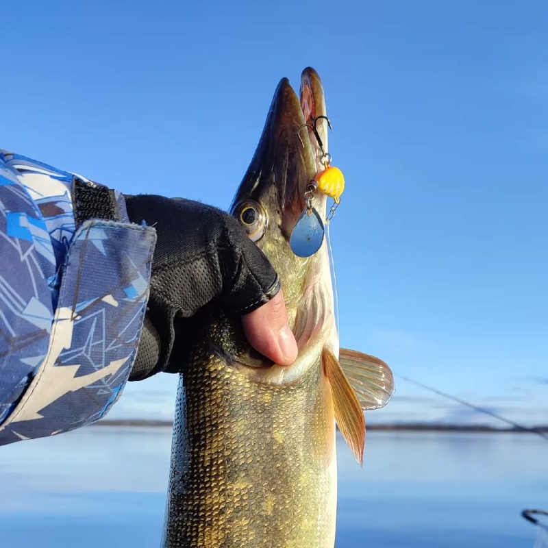 Hurricane-Fishing-homepage-2